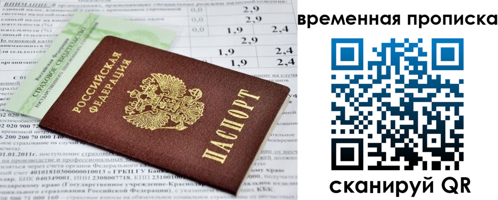 временная прописка в Кингисеппе