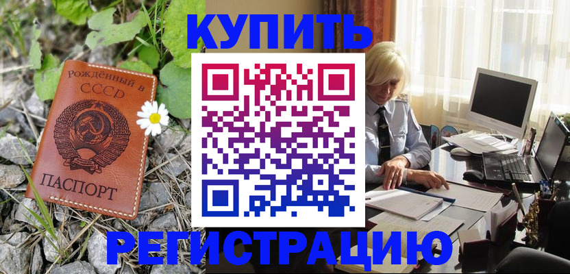 временная регистрация недорого в Кингисеппе